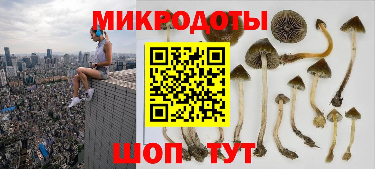 Псилоцибиновые грибы Psilocybine cubensis  Галлюциногенные грибы мухоморы  купить  сайты  Грязи  Вход с VPN 